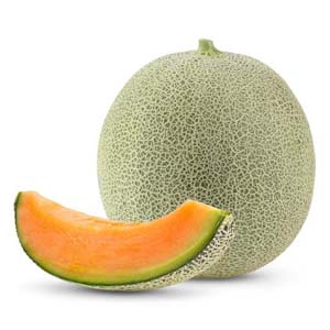 Melon